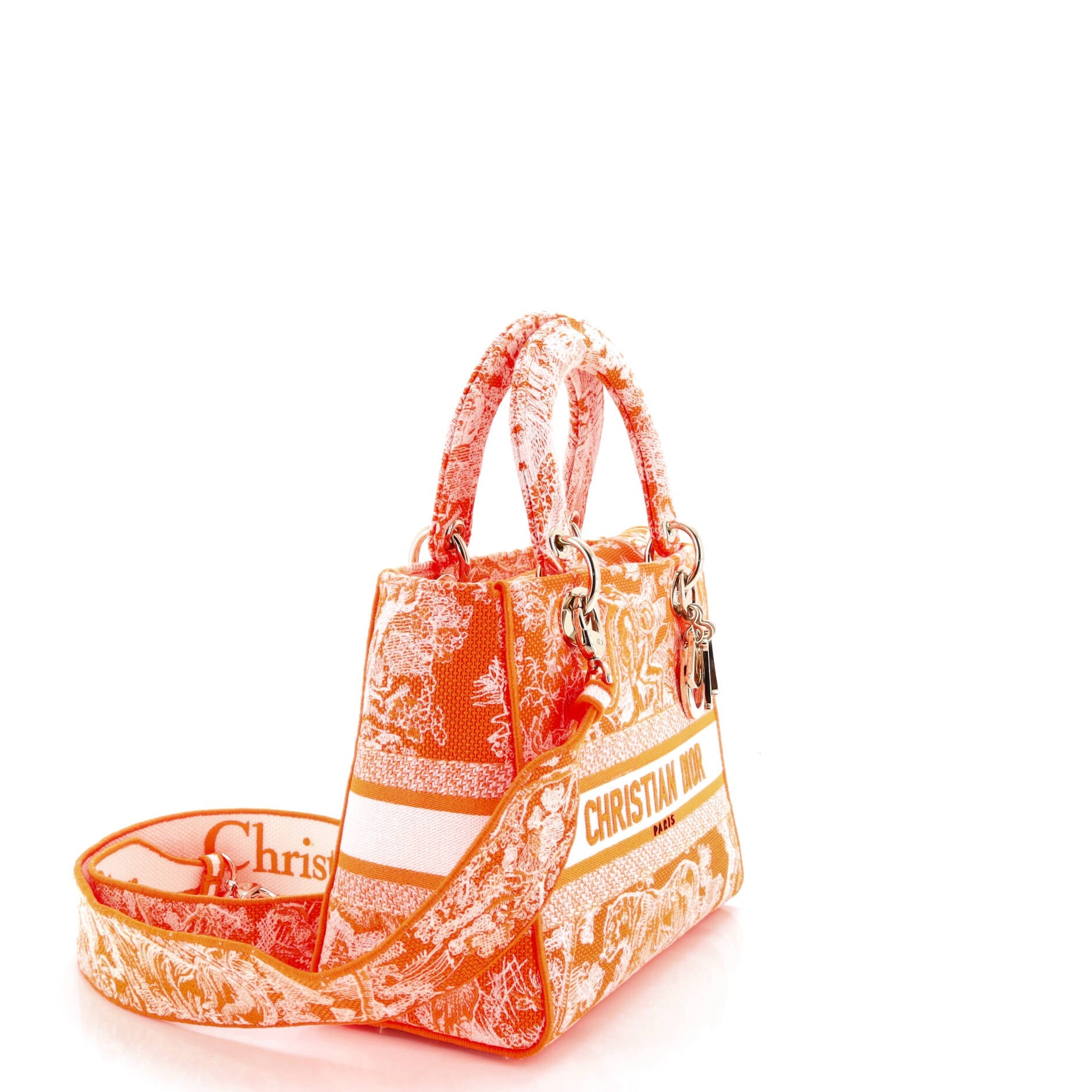 Toile de Jouy Lady D-Lite Bag Embroidered Canvas