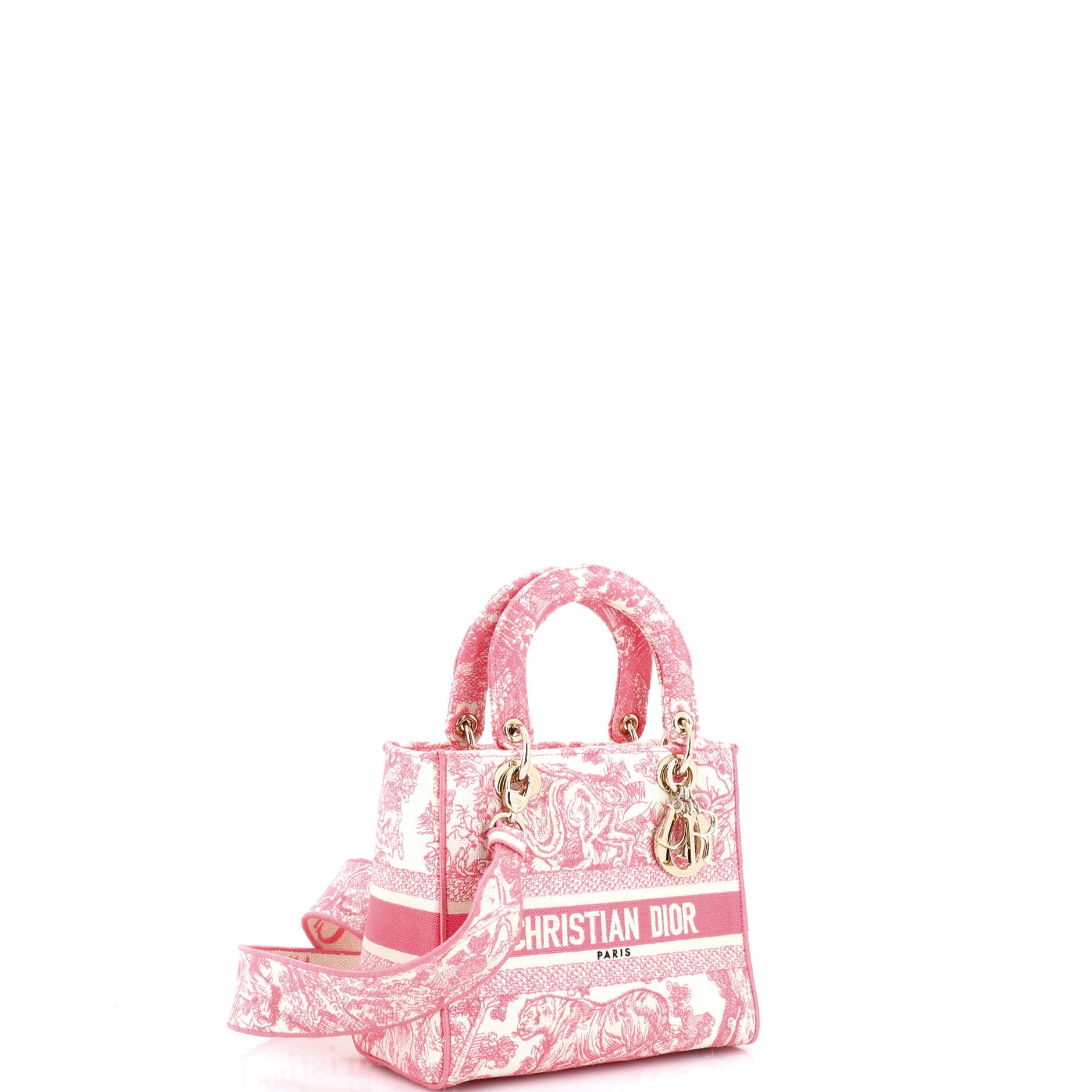 Toile de Jouy Lady D-Lite Bag Embroidered Canvas
