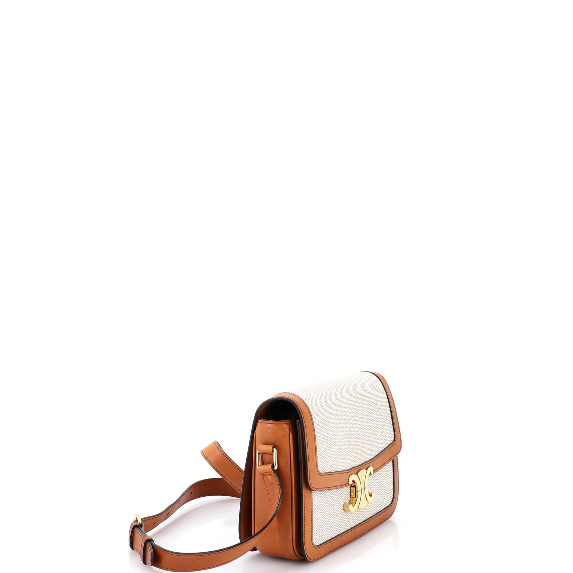 Triomphe Shoulder Bag Canvas with Leather Medium