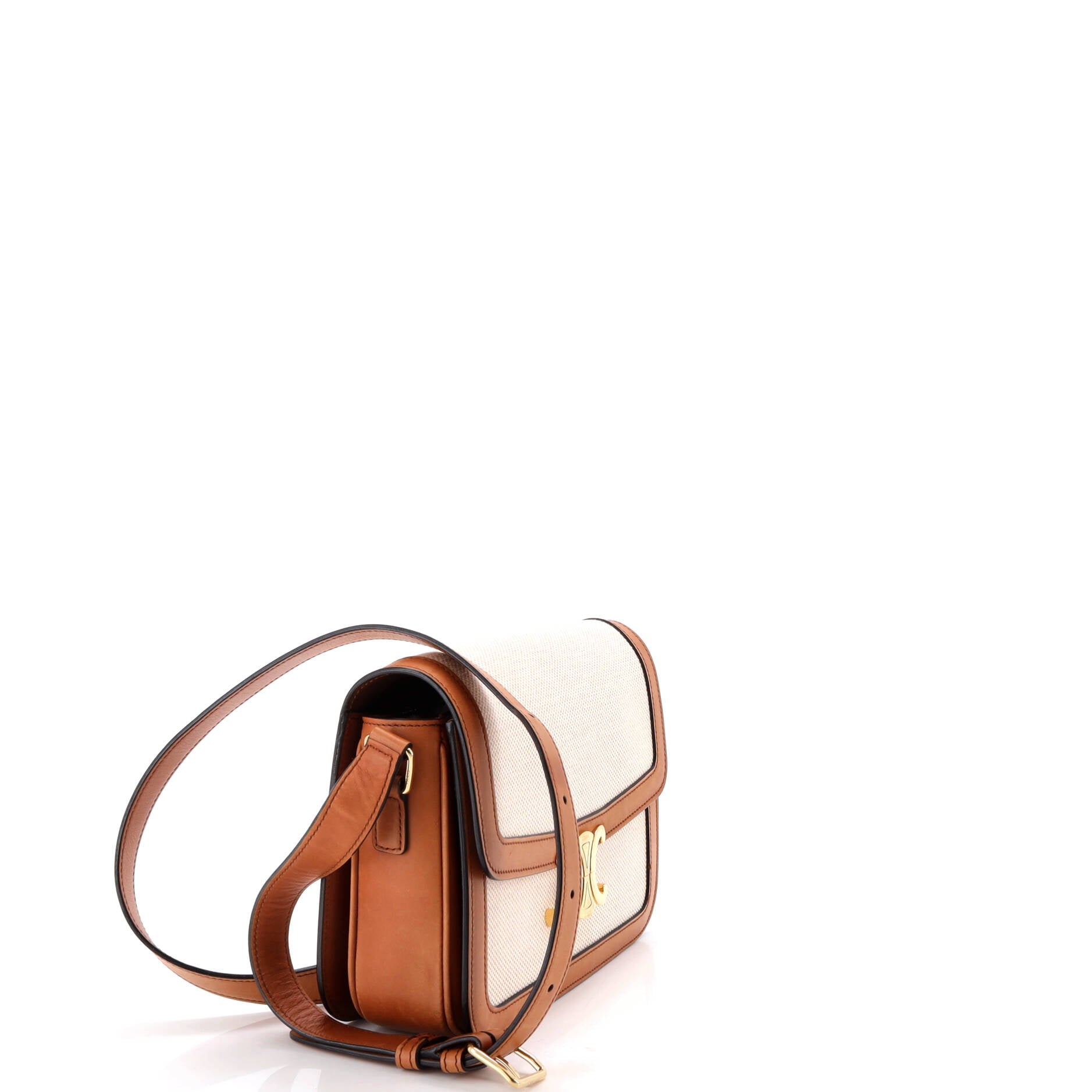 Triomphe Shoulder Bag Canvas with Leather Medium