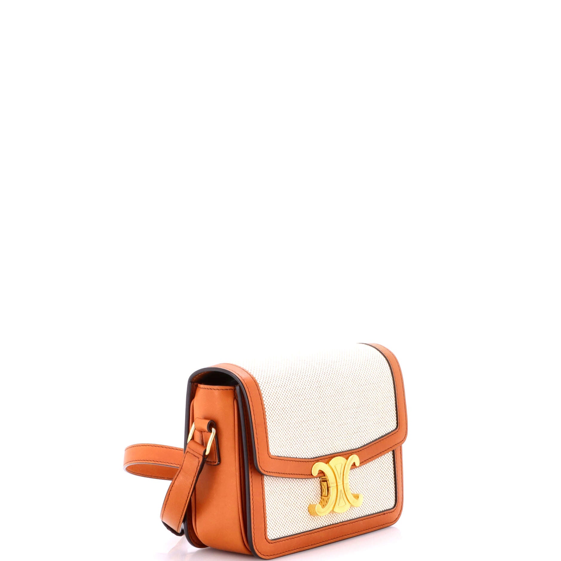 Triomphe Shoulder Bag Canvas with Leather Teen