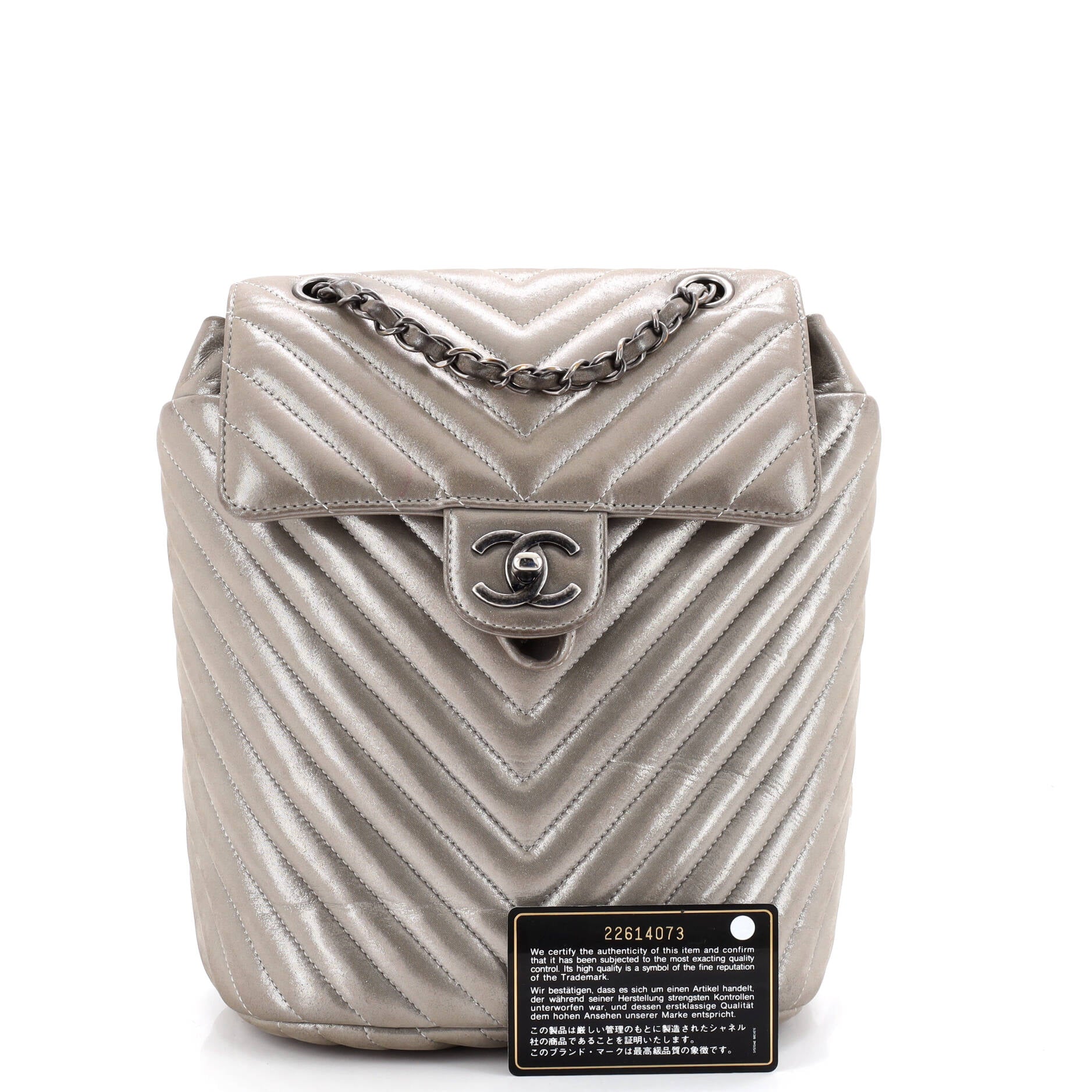 Urban Spirit Backpack Chevron Iridescent Calfskin Small